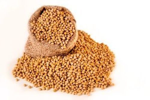 Brown Soybean Seeds For Food