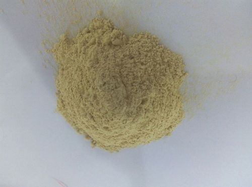 Dehydrated White Onion Powder