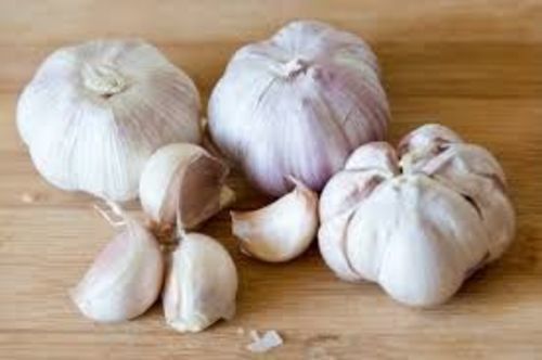 Fresh White Natural Garlic