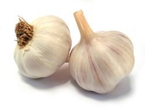 Fresh White Organic Garlic - Fried, Round Shape | Pesticide Free, 148.9 Calories, 6.36g Protein, Custom Size