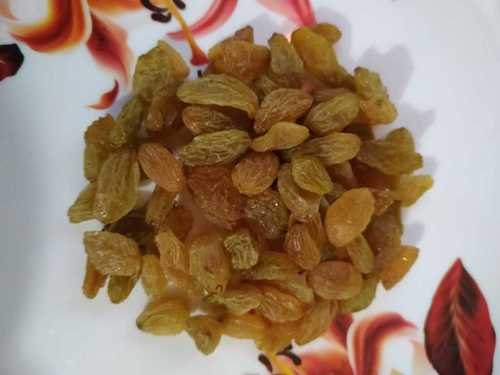 Yellow Healthy Raisine