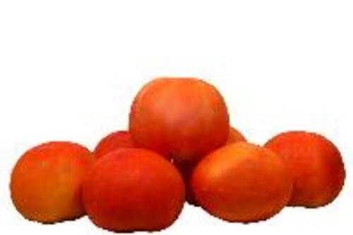 Fresh Cherry Tomatoes For Cooking Preserving Compound: Cool And Dry Place