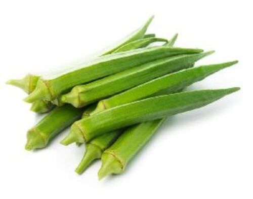 Fresh Green Okra For Cooking Preserving Compound: Cool And Dry Place