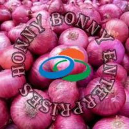 Fresh Red Onion For Cooking Preserving Compound: Cool And Dry Place