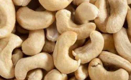 High Nutrition Cashews Nuts