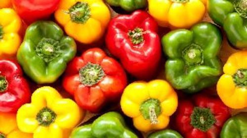 Organic Fresh Capsicum For Cooking Preserving Compound: Cool And Dry Place