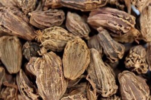 Bold Black Cardamom - Fresh Dried Seeds | Natural Taste, Elongated Shape, Food Grade Quality, 12-Month Shelf Life, Store in Cool & Dry Place