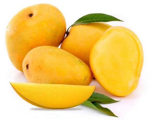 Fresh Alphanso Mango Fruits