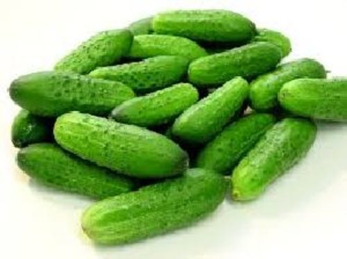 Fresh Green Cucumbers for Food