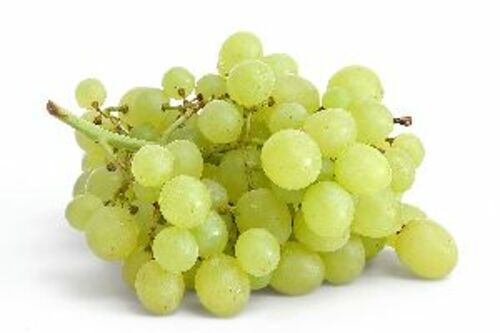 Fresh Green Grapes Fruits