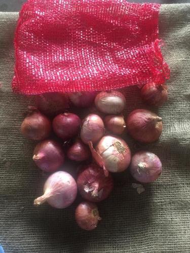 Fresh Indian Red Onions