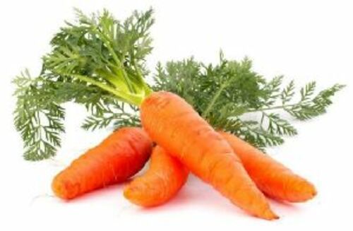 Fresh Orange Carrots for Food