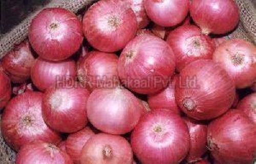 Fresh Red Onion For Cooking Preserving Compound: Cool And Dry Place