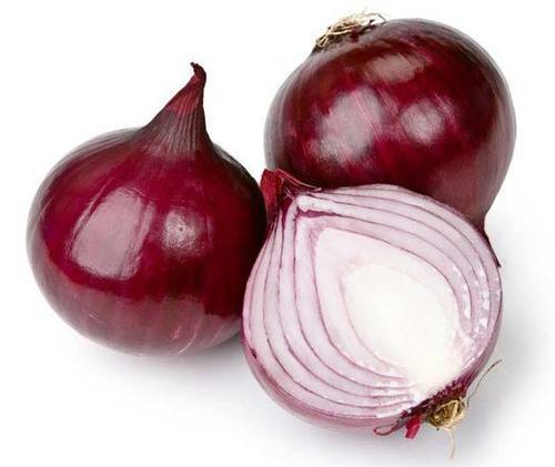 Fresh Red Onion for Cooking