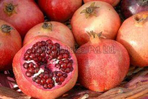 Healthy Fresh Organic Pomegranate Fruits