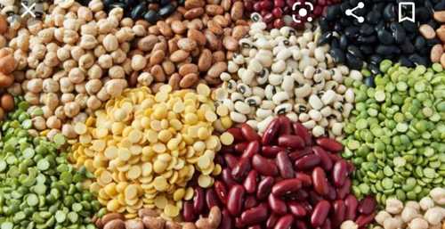 Pigeon Peas Good For Health