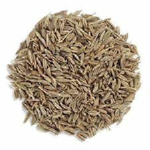 Dry Cumin Seeds for Food