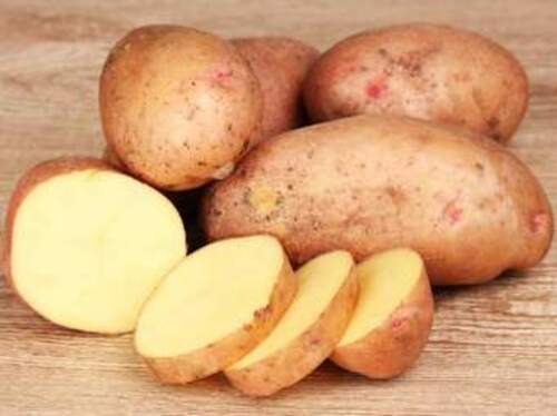 Fresh 3797 Potato for Cooking