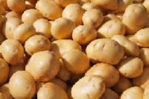 Fresh Organic Potato For Cooking Preserving Compound: Cool And Dry Place