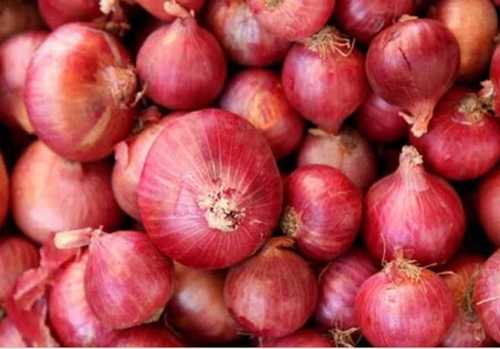 A Grade Small Onion