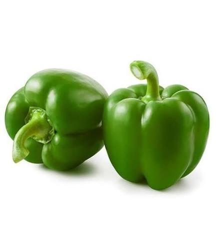 Natural Indian Origin Fresh Capsicum