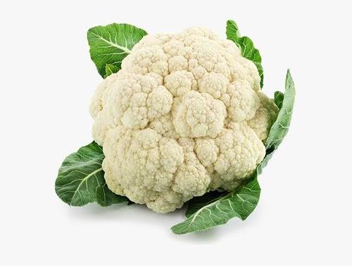 Indian Origin Fresh Cauliflower