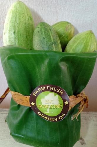 Indian Origin Fresh Cucumber