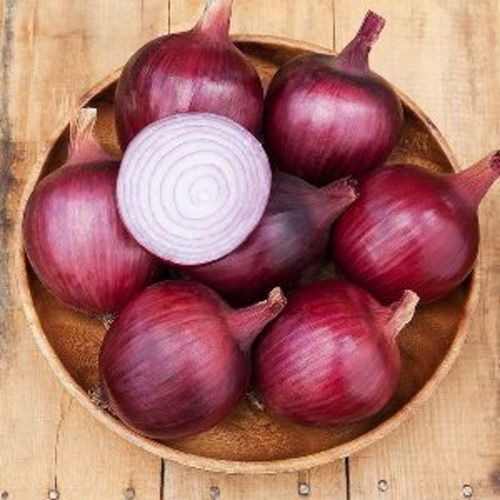 Fresh Big Onion for Cooking