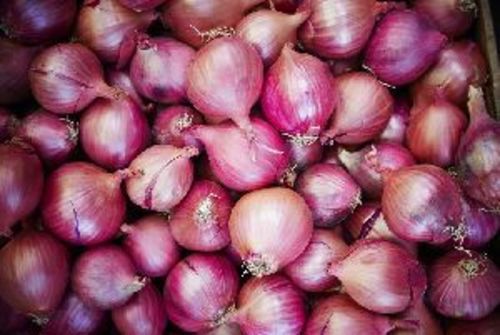 Fresh Red Onion For Cooking Preserving Compound: Cool And Dry Place