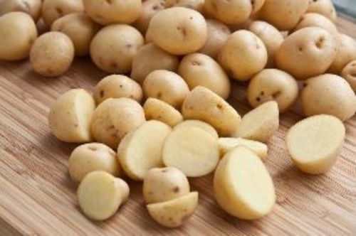Fresh Small Potato for Cooking