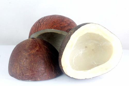 Brown Good And Fresh Dry Coconut