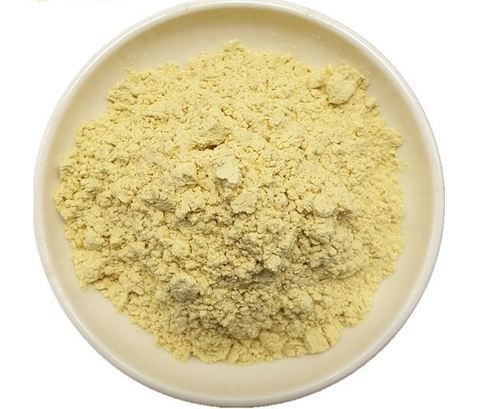Natural Pure Mangiferin Powder
