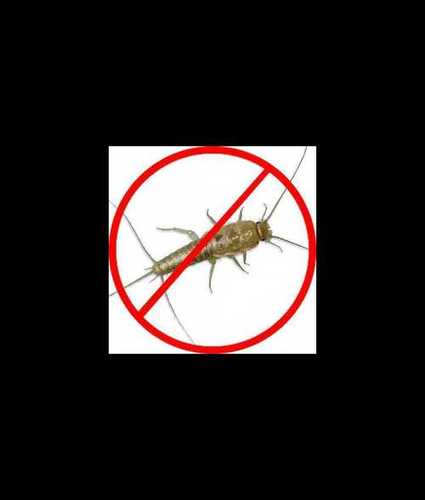 Pest Control Anti Termite Treatment Services By Lancer Pesto Chemicals Of India