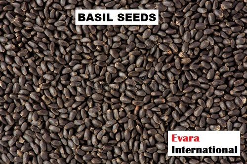 Black Pure Natural Basil Seeds