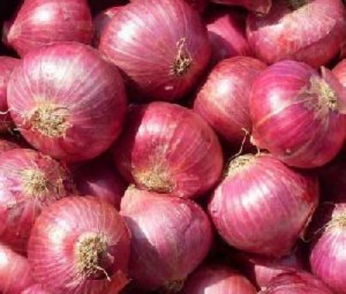 Red Fresh Onion For Cooking Preserving Compound: Cool And Dry Place