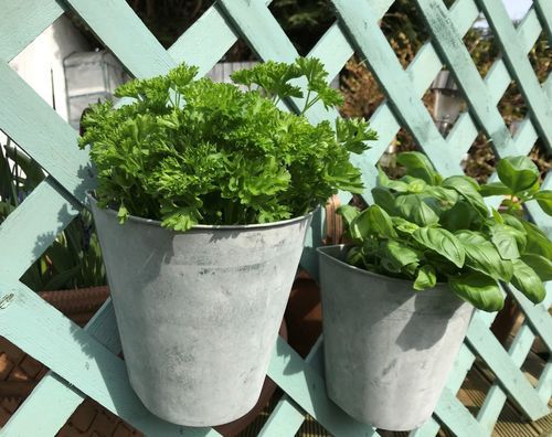 Zinc Planter For Garden Use