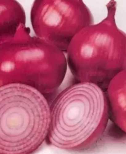 Round A Grade Fresh Red Onion