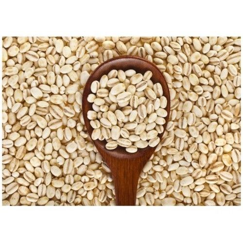 Brown Barley Seeds - 9% Min Protein, 100% Pure Organic Quality | Fresh Natural Dried Food Grade for Brewing Applications