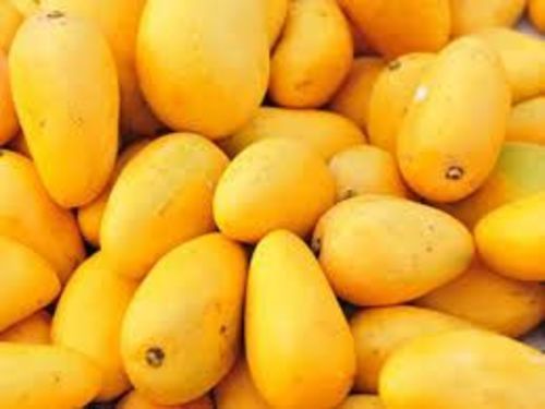 Fresh Yellow Mango Fruits