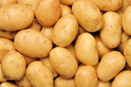 Natural Fresh Potato For Cooking Preserving Compound: Cool And Dry Place