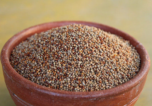Organic Brown Millet Seeds