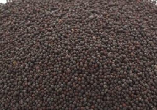 Black Mustard Seeds for Food