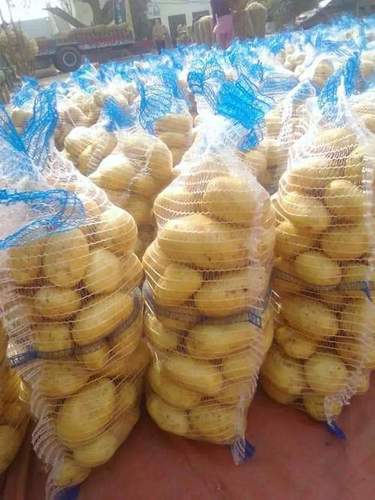 Export Quality Fresh Potato