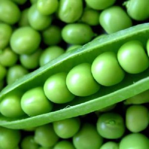 Fresh Green Peas For Cooking
