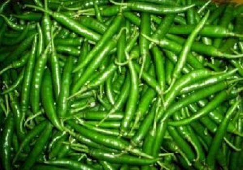 Fresh Natural Green Chilli - New, Very Good Quality, 100% Maturity, 5% Moisture | Fried, Cooked, Stick Shape, Preserved in Cool and Dry Place