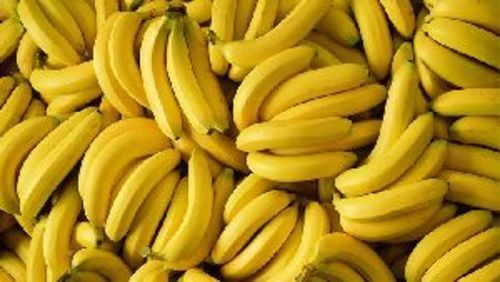 Fresh Yellow Banana Fruits