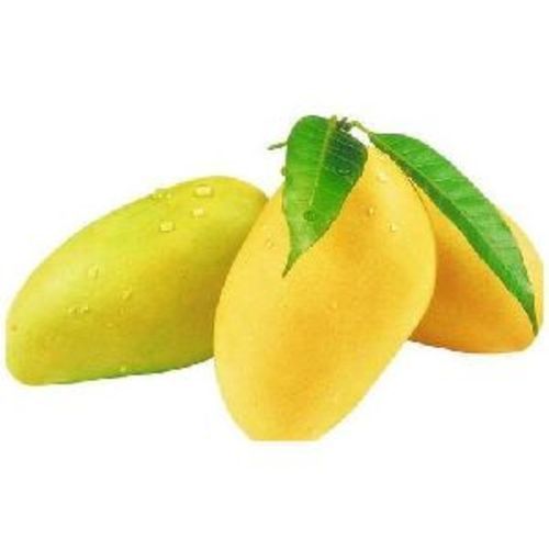  पीले ताजे आम के फल