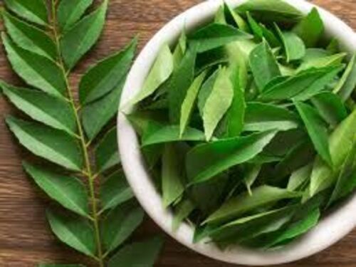 Fresh Green Curry Leaves Grade: Food Grade