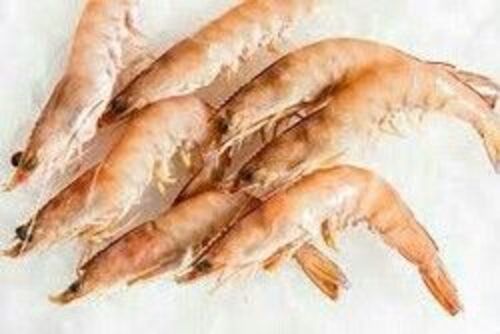 Fresh Prawn Fish for Cooking