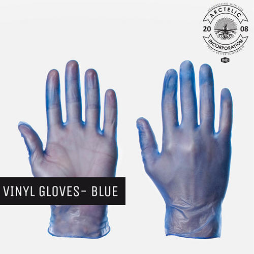 Full Finger Transparent Clear and Blue Vinyl Gloves 